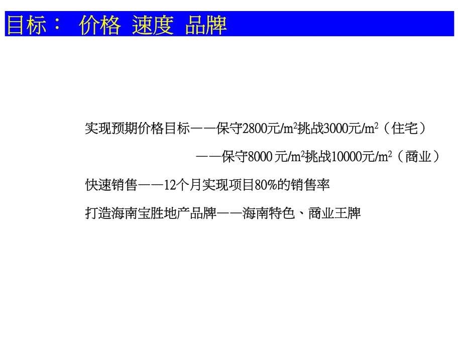 海南宝信购物休闲广场项目营销执行报告2005-_第5页