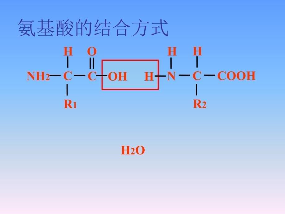 课题3_血红蛋白的提取与分离自制_第5页