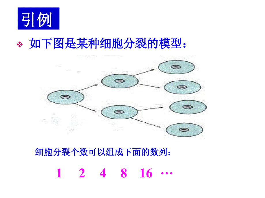 高中数学 等比数列1_第2页