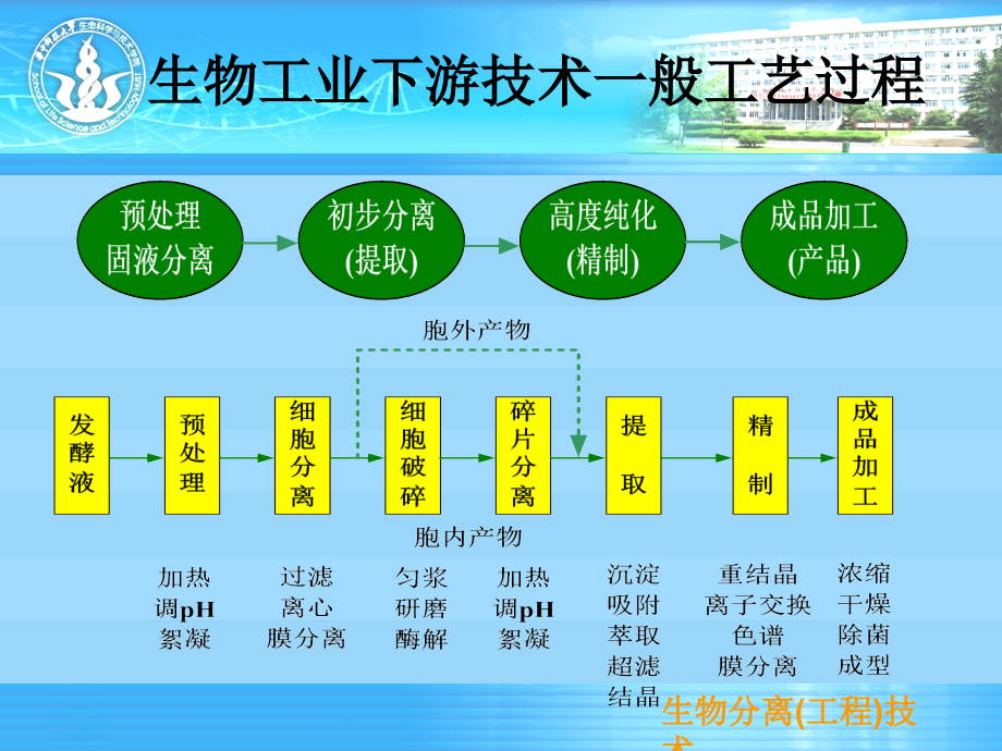 生物分离(工程)技术(第三章 固-液分离技术-第二讲离心技术)_第4页