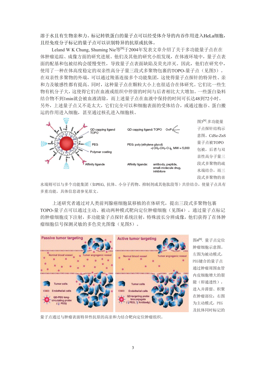 生物纳米探针简介_第3页
