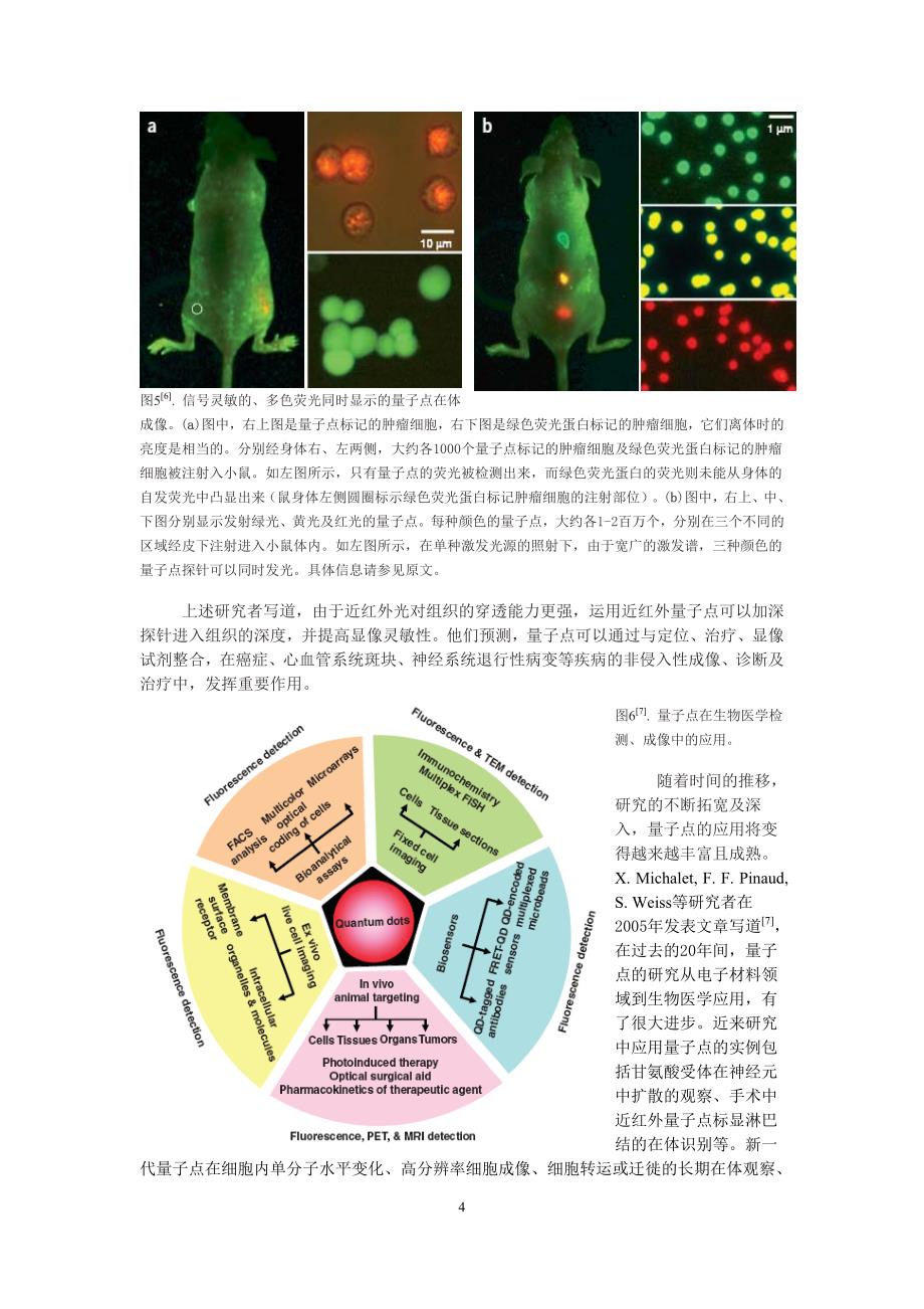 生物纳米探针简介_第4页