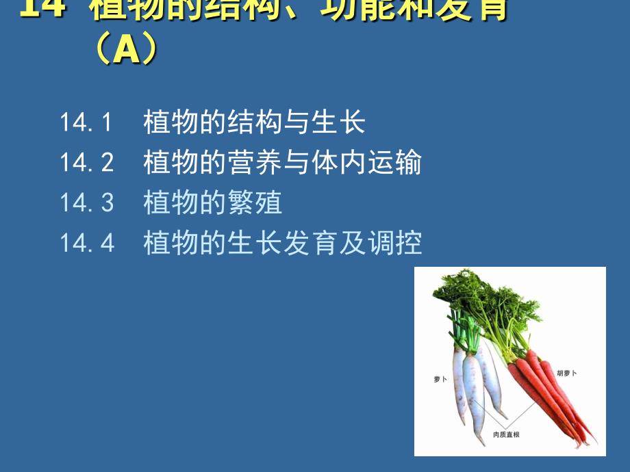 14  植物的结构、功能和发育（A）_第1页