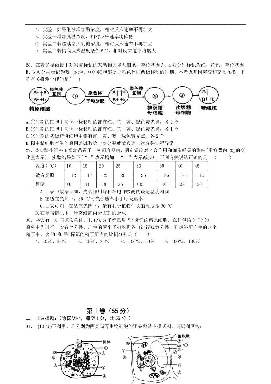 2014届山东省滨州市北镇中学高三10月阶段性检测生物试题_第5页