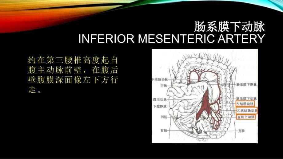 腹部血管疾病的超声诊断PPT课件_第5页