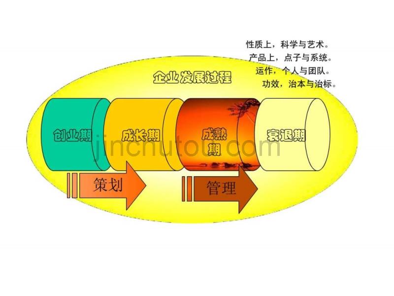 全球四大管理咨询公司培训讲义管理咨询入门及主要流程_第4页