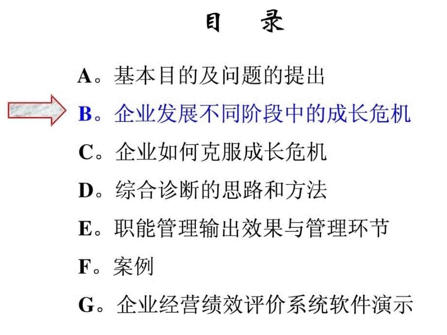 企业治理综合诊断[优质文档]_第5页