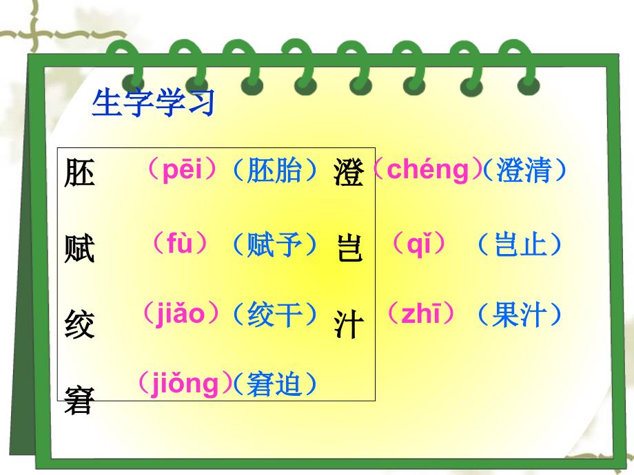 《童年的发现》ppt课件_第3页