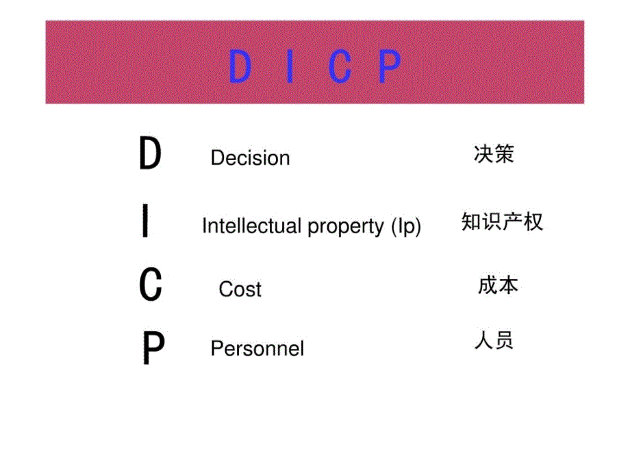 信息时代DICP的管理实践与思考_第4页