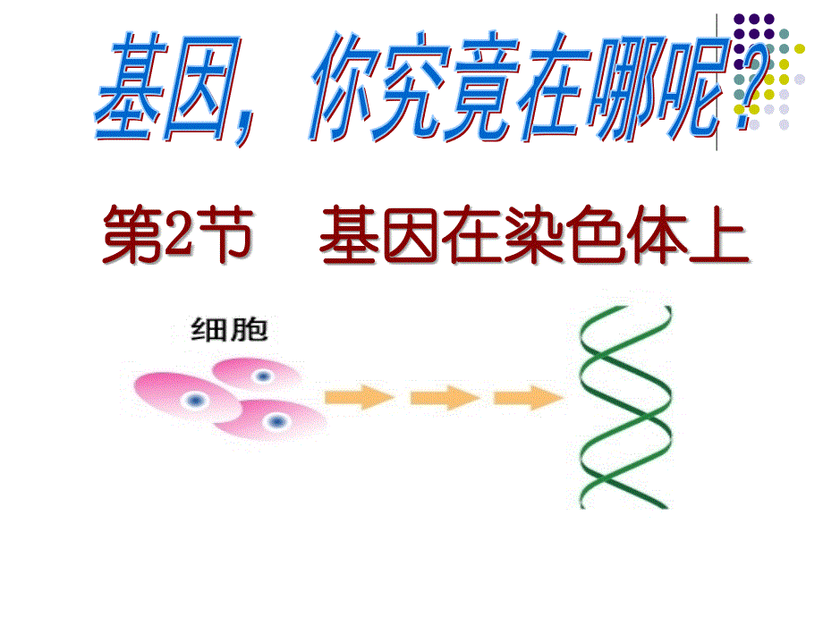 2.2基因在染色体上_第1页