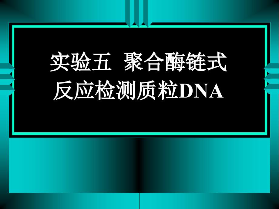 实验五 聚合酶链式反应检测质粒DNA_第1页