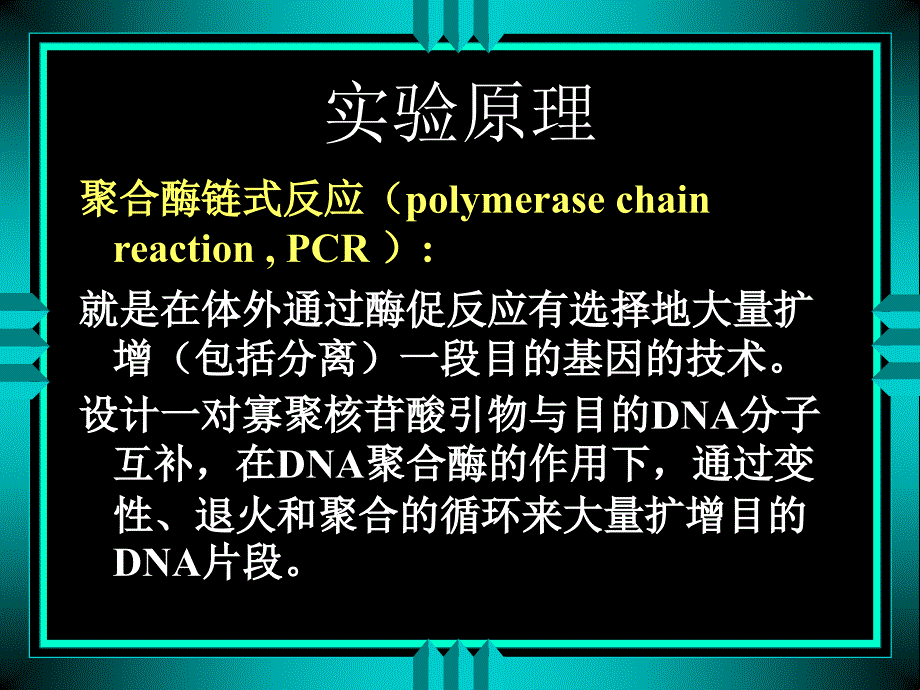 实验五 聚合酶链式反应检测质粒DNA_第3页