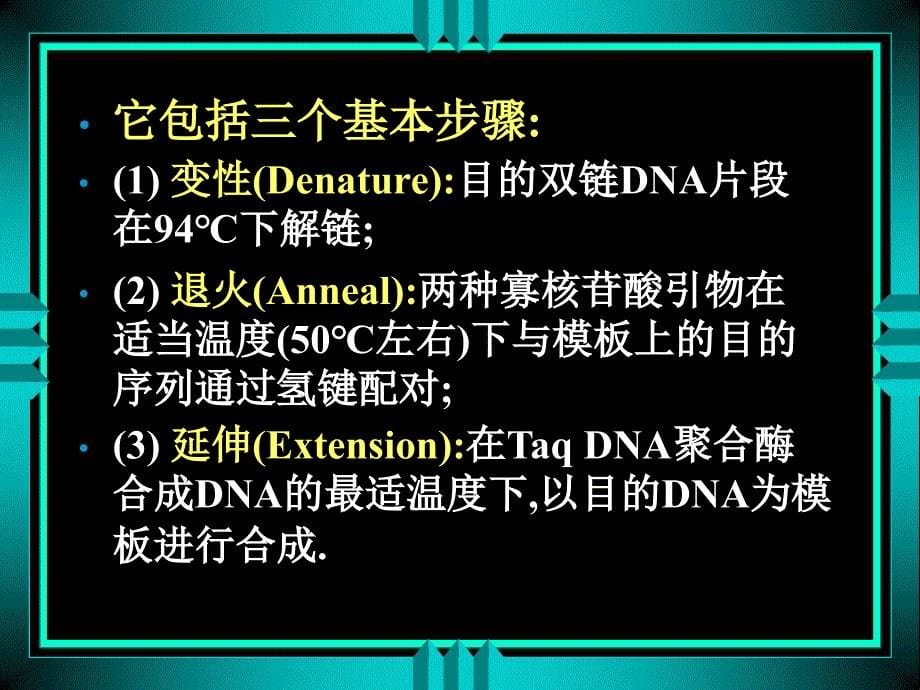 实验五 聚合酶链式反应检测质粒DNA_第5页