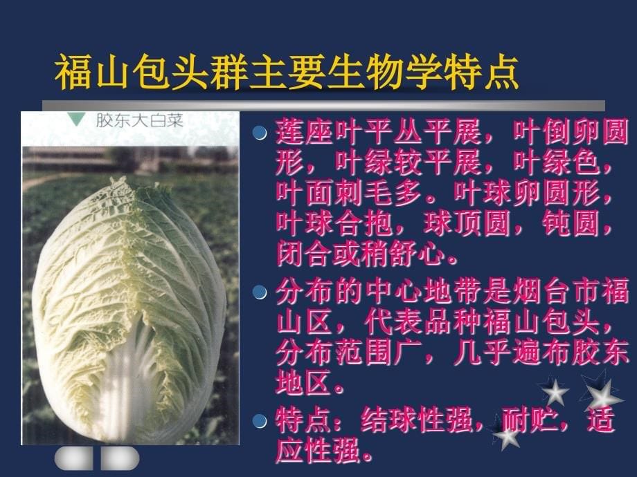 蔬菜类名特优产品的土壤环境条件_第5页