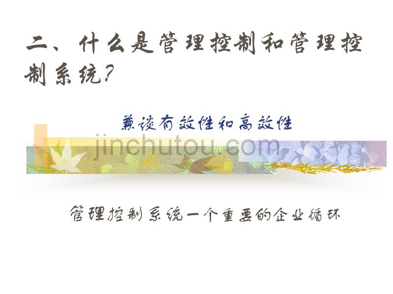 将战略转化为行动——企业成长战略与企业运营绩效管理_第5页