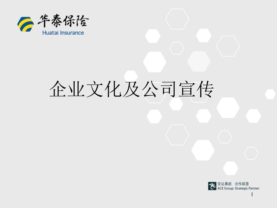 企业文化及公司宣传（分支机构宣导稿）_第1页