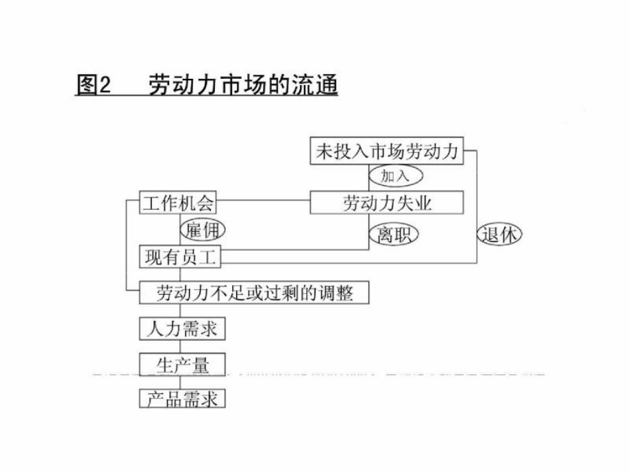 人力资源的功能_第3页