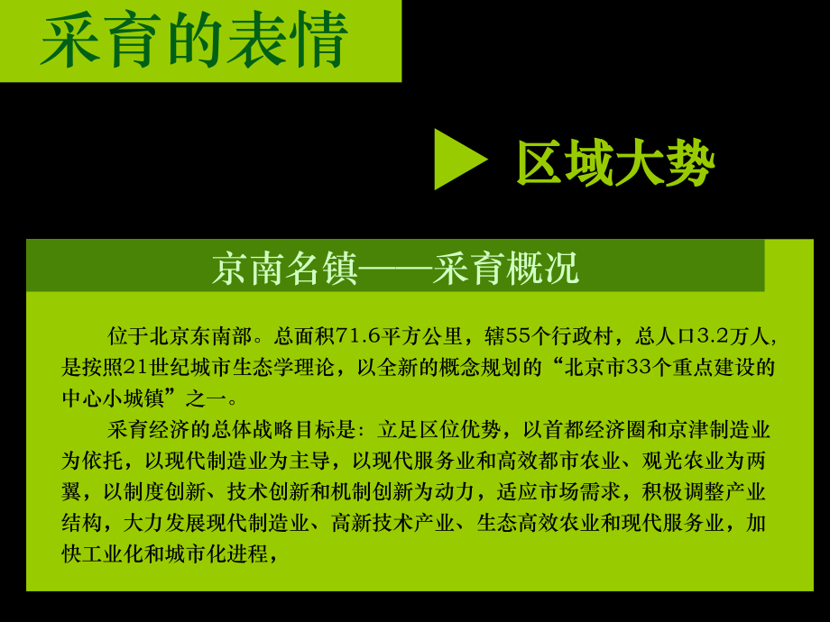 阳光波尔多广告策略.18_第4页