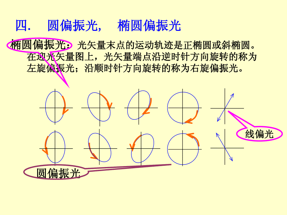 (大学物理)光的偏振_第4页