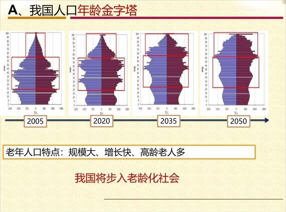 养老地产报告_第5页