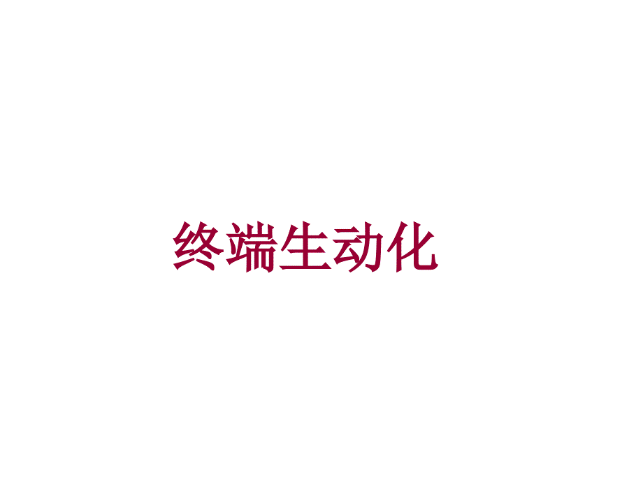 终端生动化_第1页