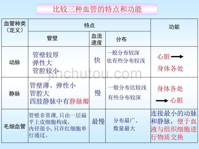 血流的管道——血管新123_第4页