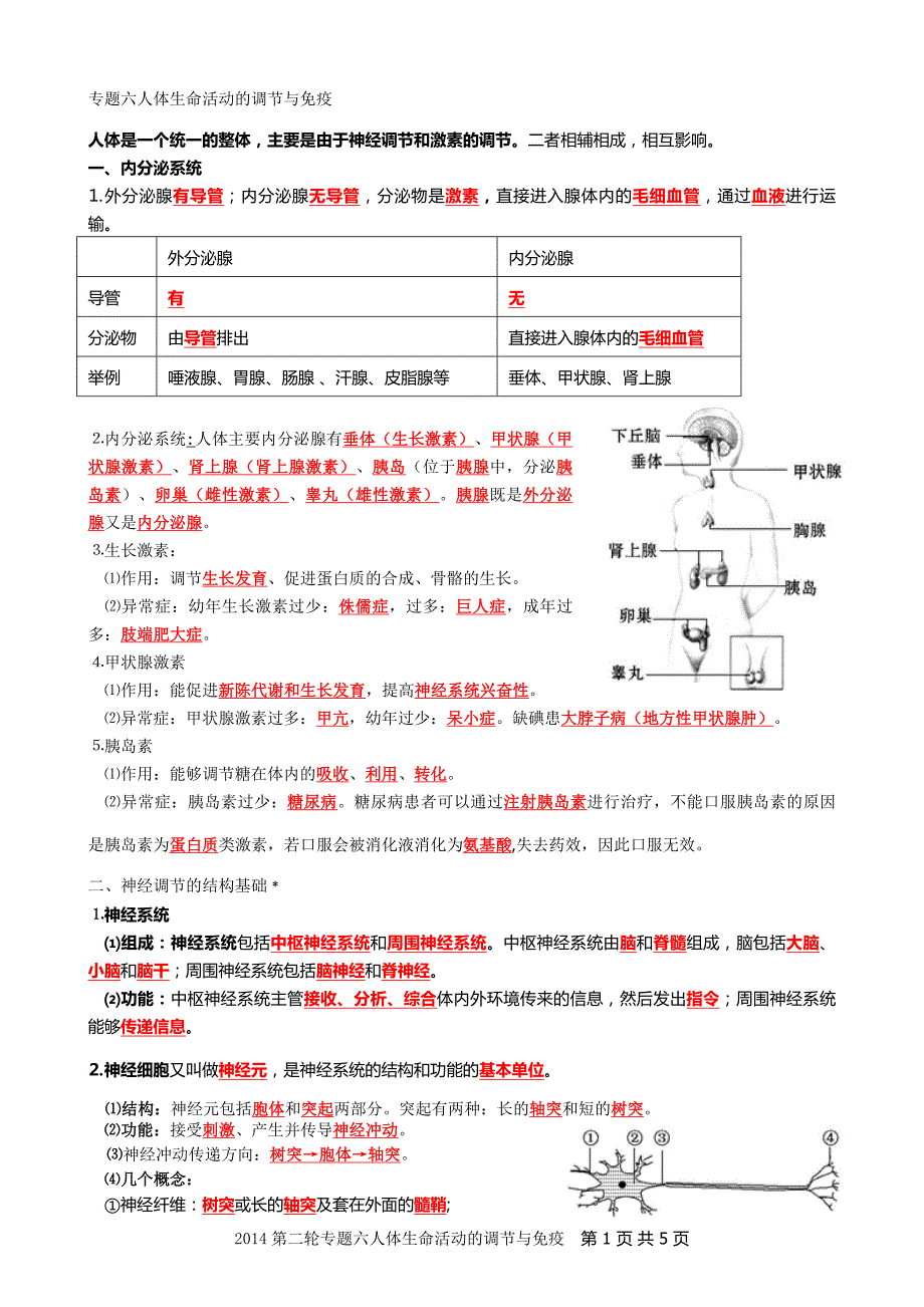 2014七年级第二轮复习知识点大纲专题六人体生命活动的调节与免疫_第1页