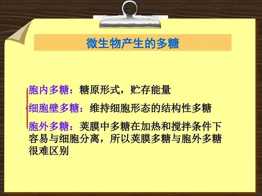 医药微生物技术_第5页