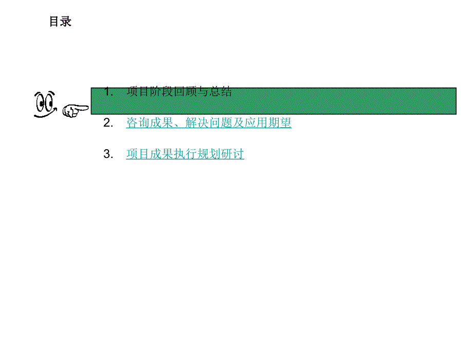 项目总结实施规划会_第2页