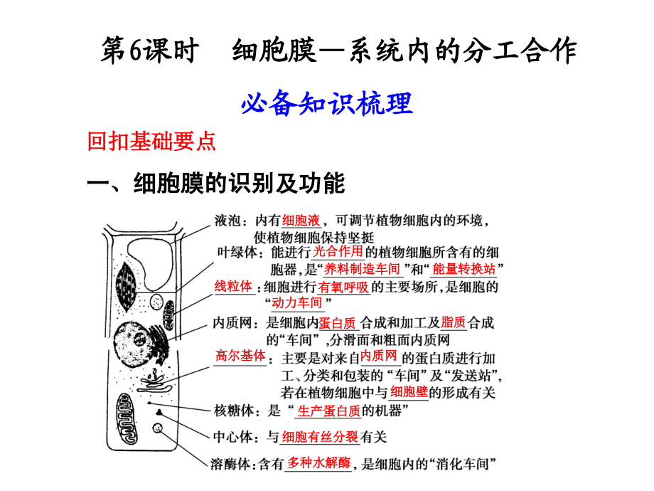 生物必修一——课时知识点6_第1页