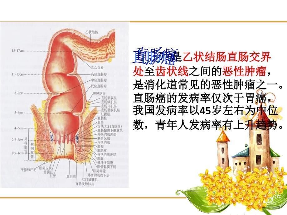 教学护理查房_第5页