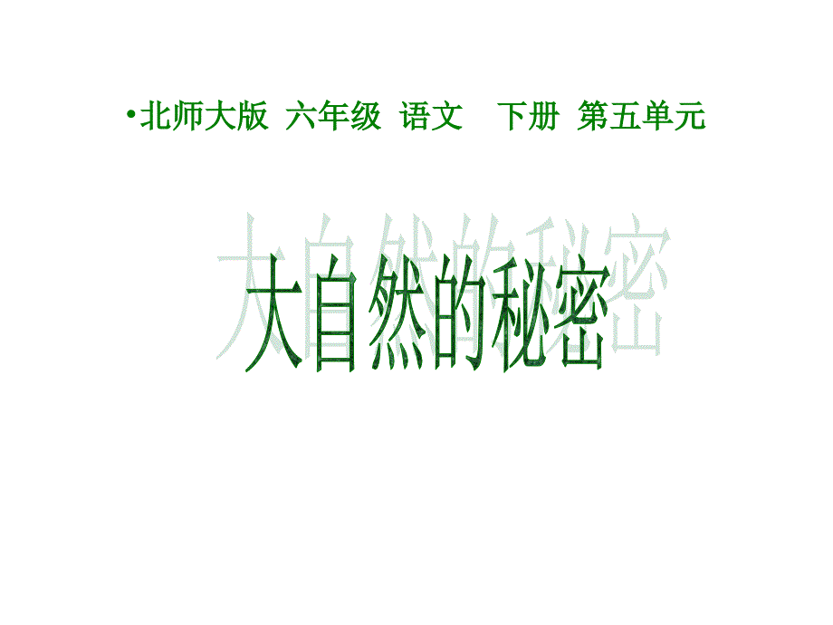 六年级语文大自然的秘密_第1页