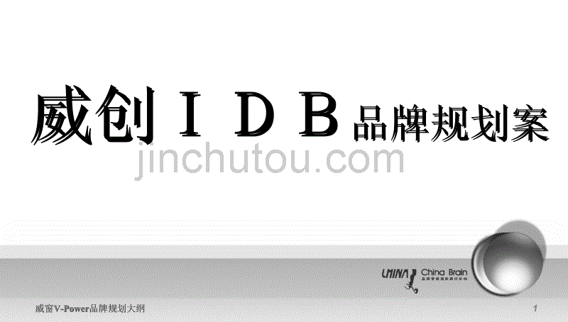 威创IDB品牌规划案_第1页