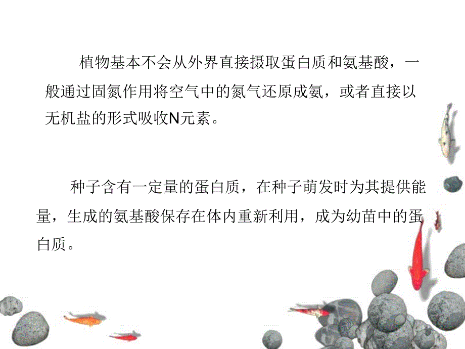 大学生物化学蛋白质代谢_第4页