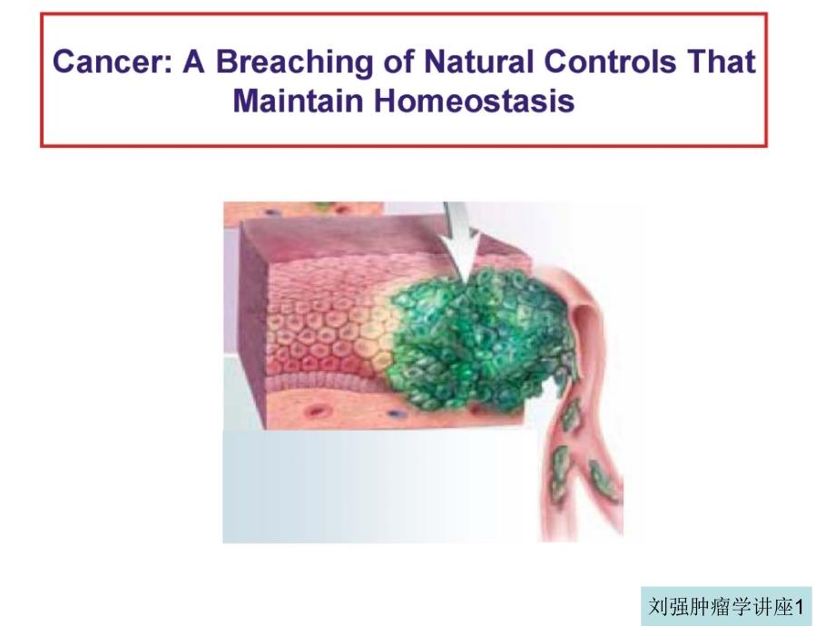 09硕士肿瘤学课件-肿瘤转移_第3页