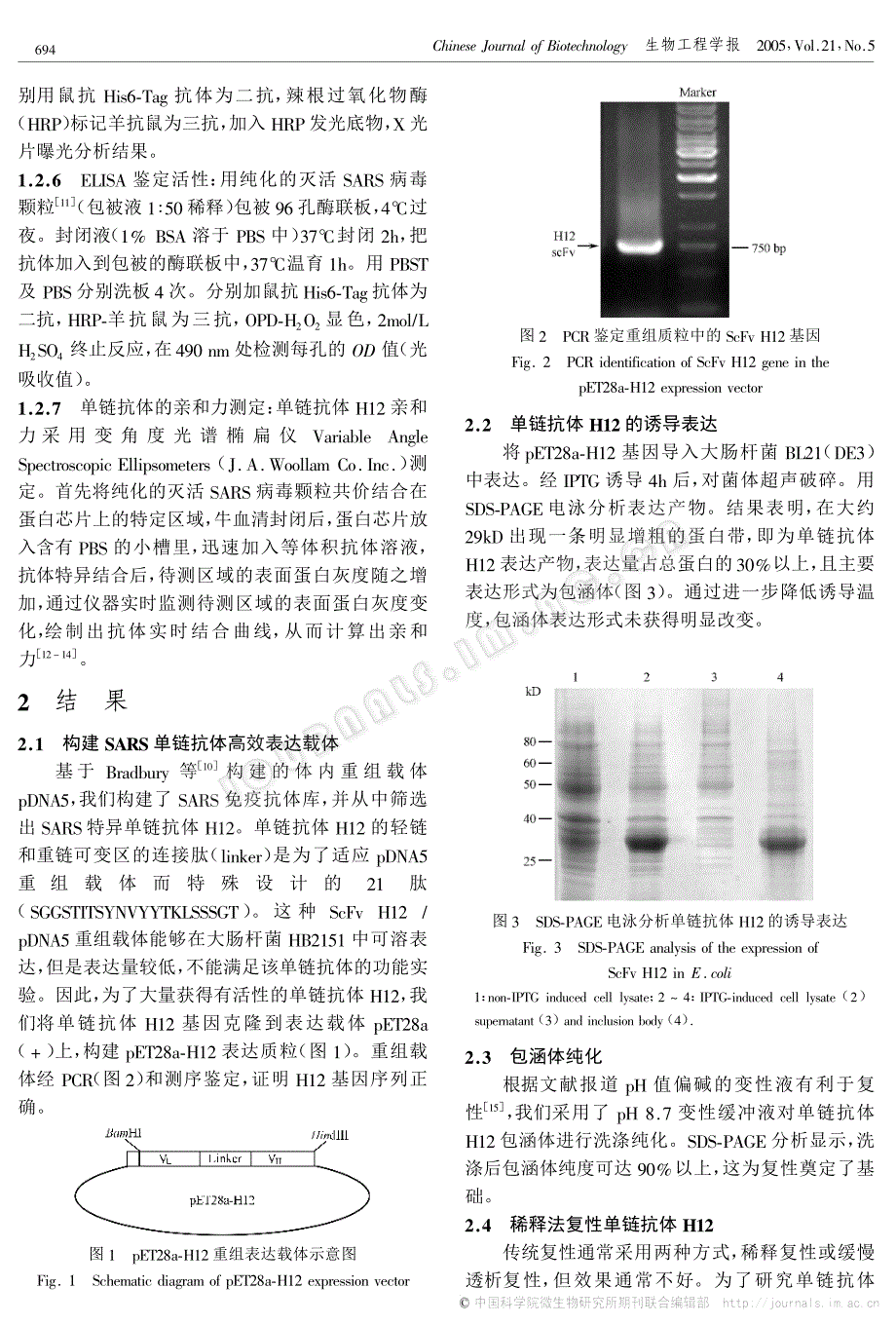 抗sars 人源单链抗体h12的表达及复性_第3页