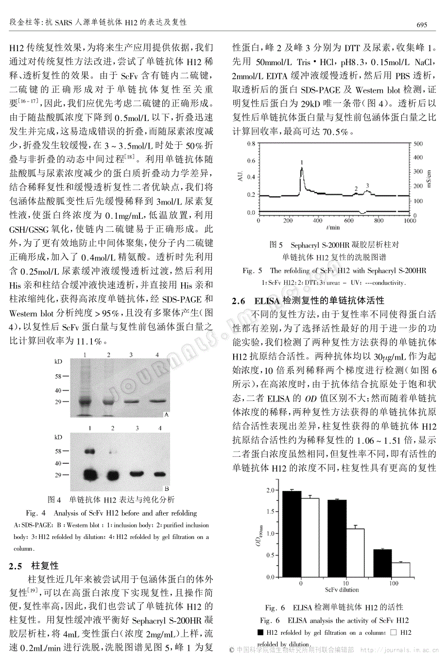 抗sars 人源单链抗体h12的表达及复性_第4页