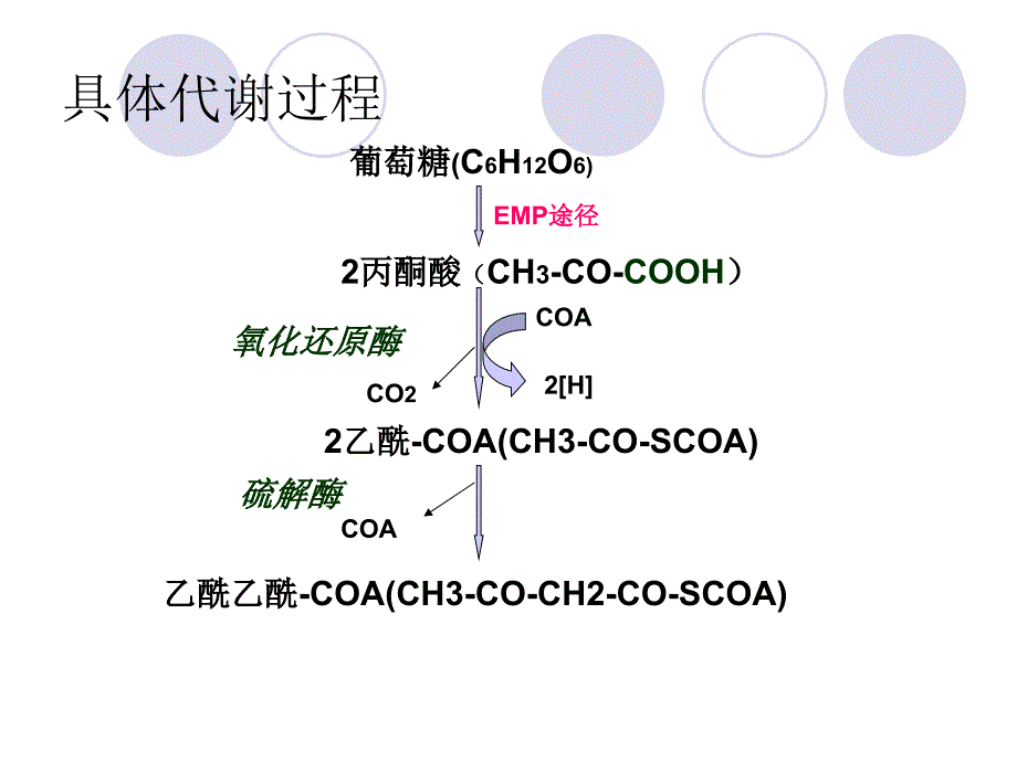 丙酮丁醇的代谢_第3页