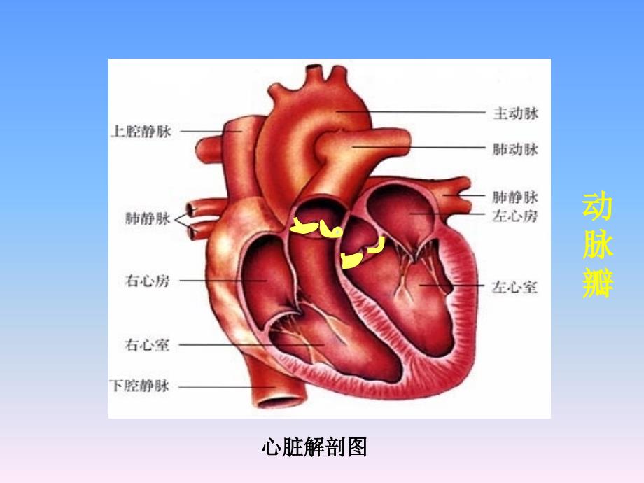 山东省济宁市中考《数学》试题及答案_第3页