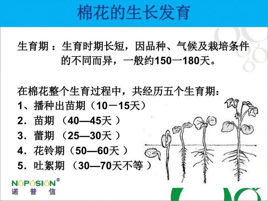 棉花病虫害防治及用药指南_第5页