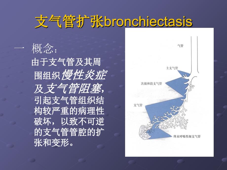 支气管扩张症及咯血护理课件_第2页