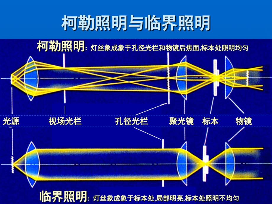 各类研究用显微镜.ppt_第4页