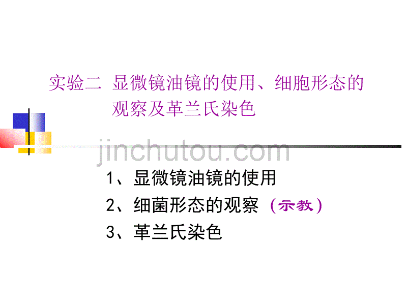 实验二显微镜油镜的使用、细胞形态的观察及革兰氏染色_第1页