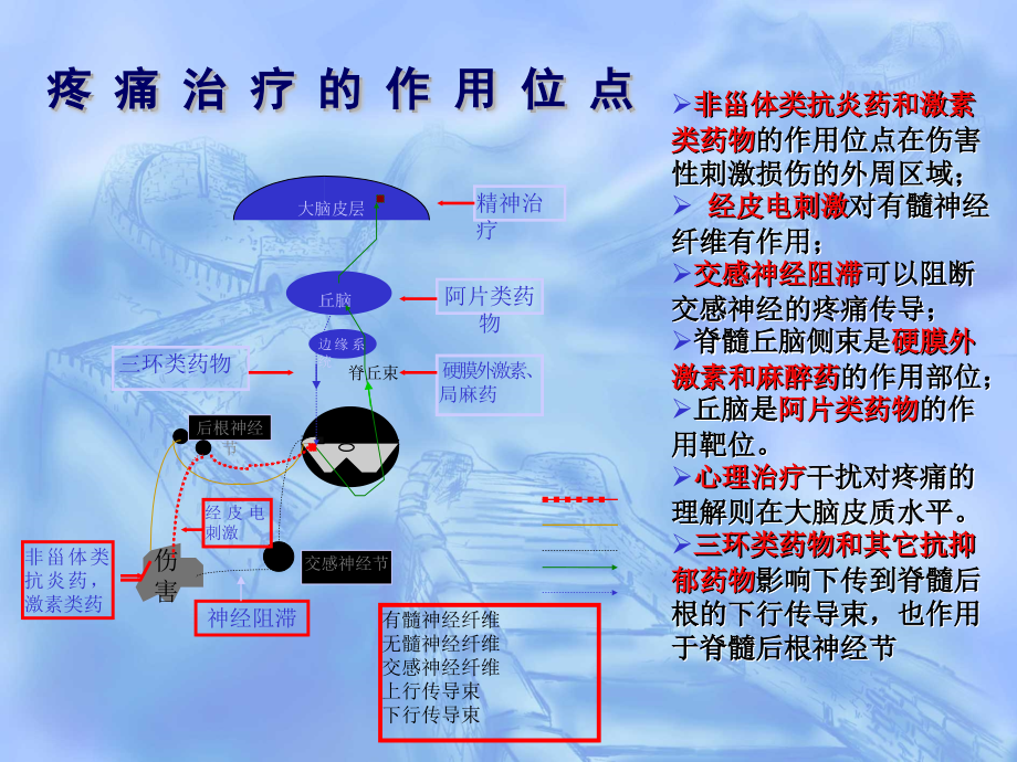 南京大学医学院 疼痛药物治疗 非甾体抗炎药 NSAIDs研究进展及其再评价_第4页