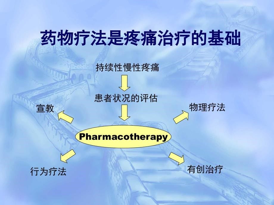 南京大学医学院 疼痛药物治疗 非甾体抗炎药 NSAIDs研究进展及其再评价_第5页