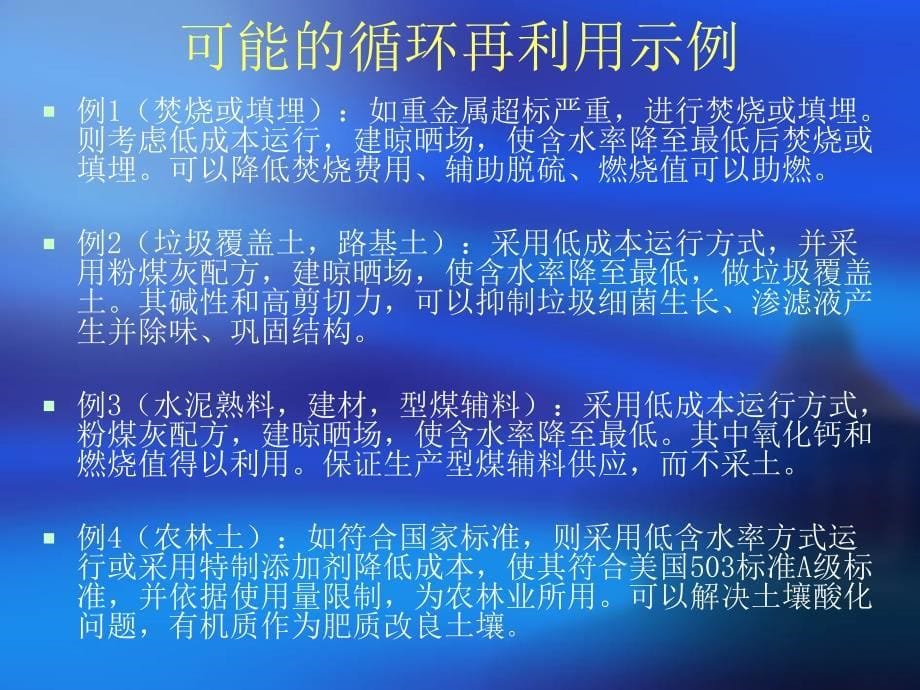 泥德ESP污泥处理处置系统介绍_第5页