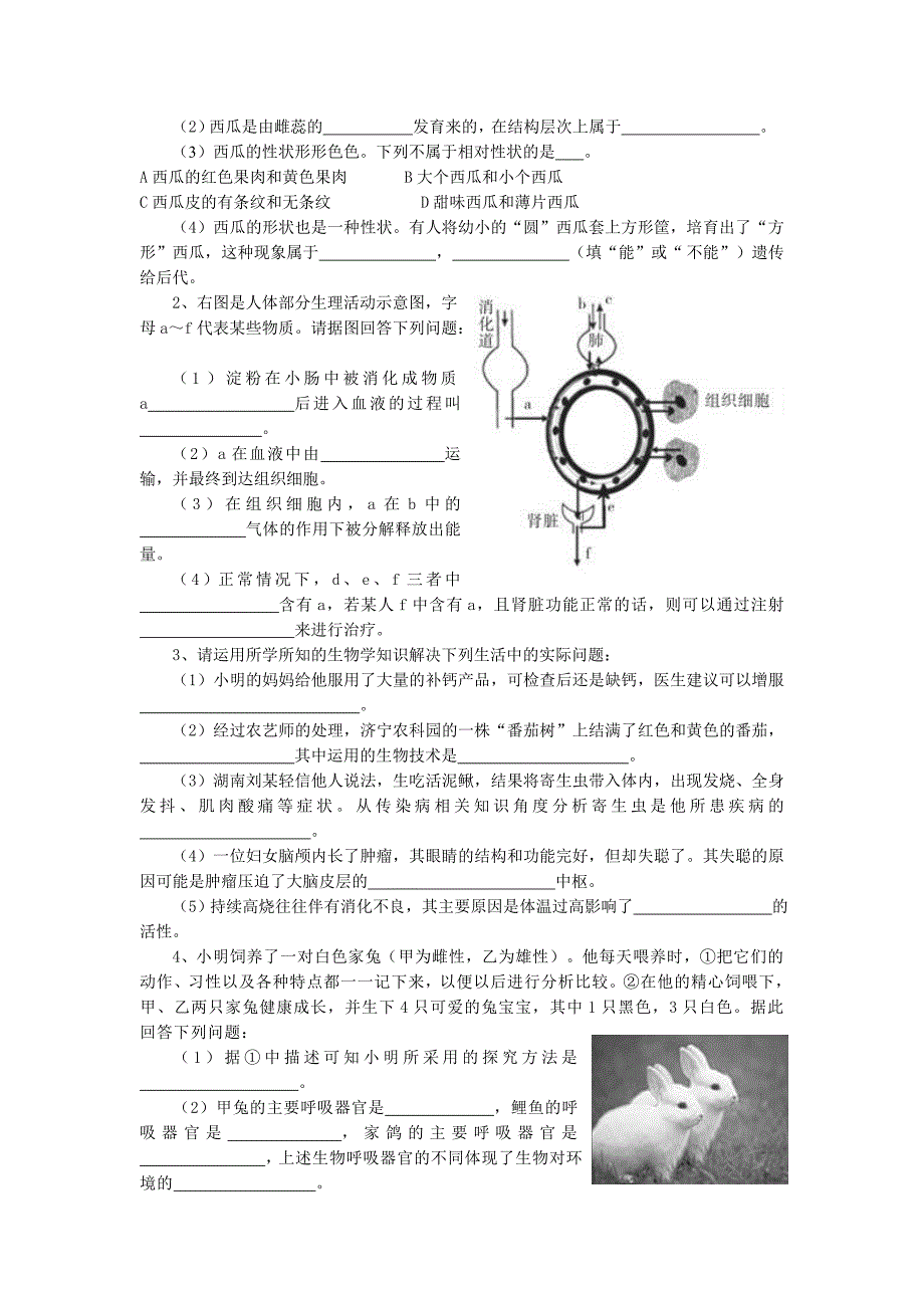 济宁市初中学业水平考试生物试题 2_第4页