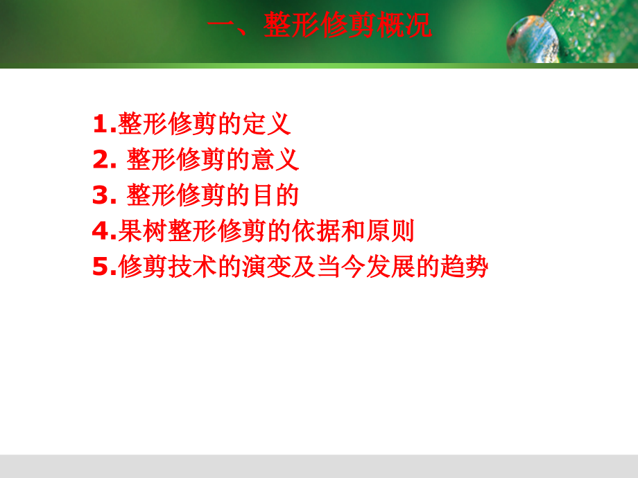 果树栽培技术-任务2整形修剪_第3页