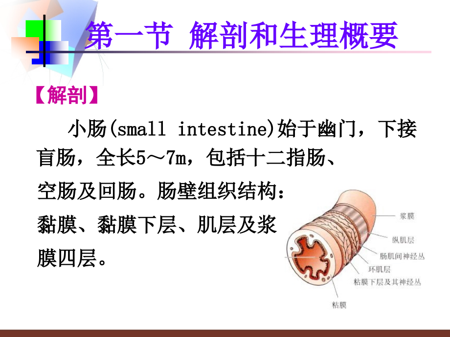 小肠疾病病人的护理课件_第2页