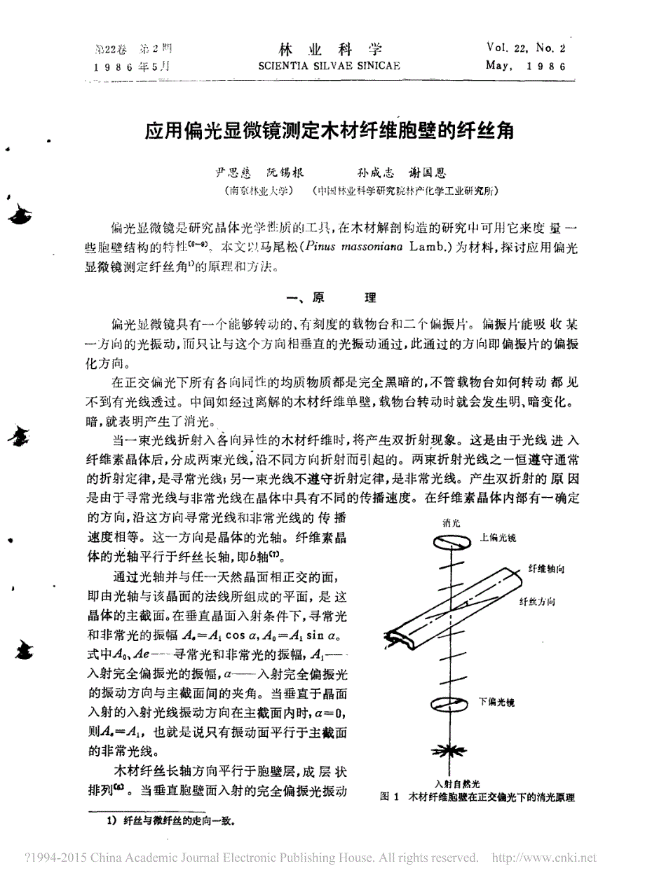 应用偏光显微镜测定木材纤维胞壁的纤丝角_尹思慈_第1页